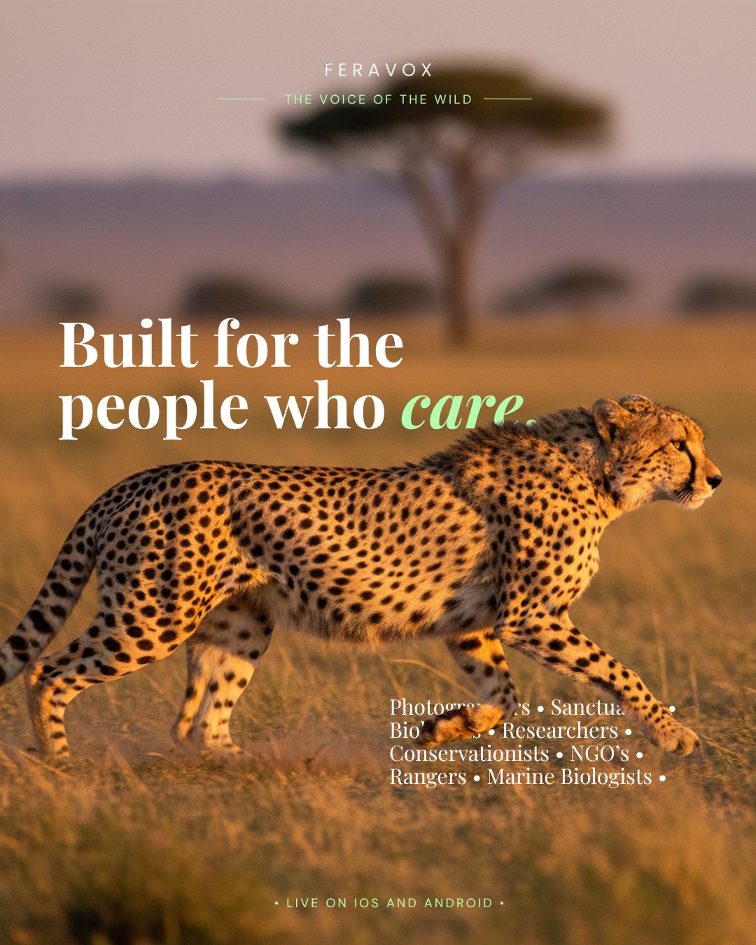 Built for the people who care: photographers, sanctuaries, biologists, researchers, conservationists, NGOs, rangers and marine biologists