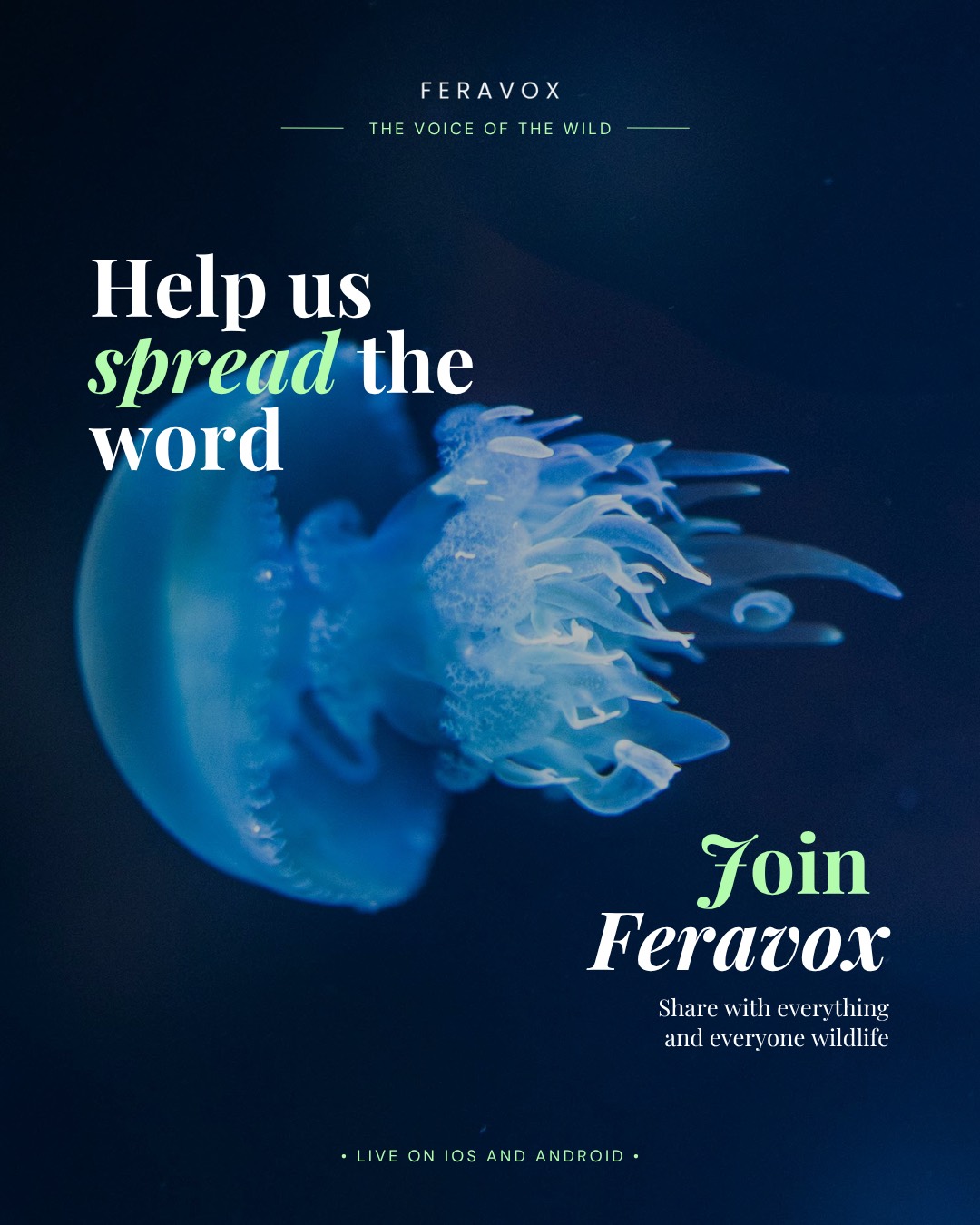 Help us spread the word &mdash; join Feravox
