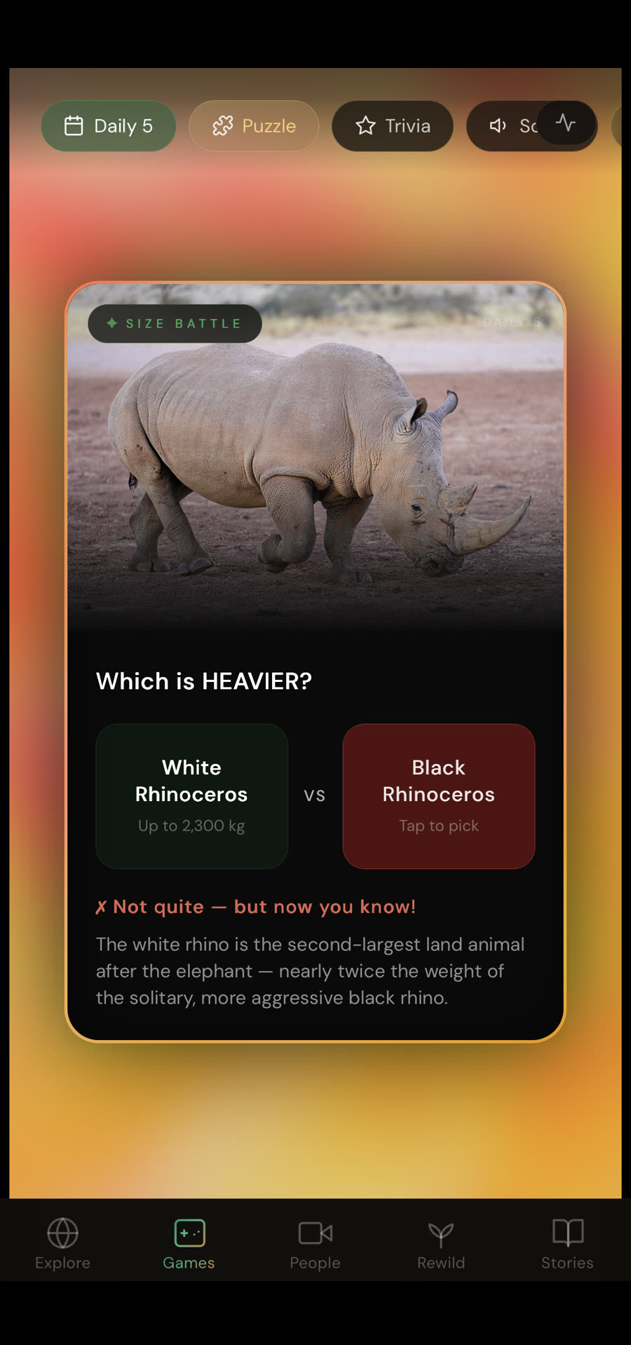 The Feravox games tab: a Size Battle question asking which is heavier, White Rhinoceros or Black Rhinoceros, with the answer revealed